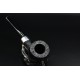 Petersons Dublin 1904 The Antique Pipe Collection 2005 